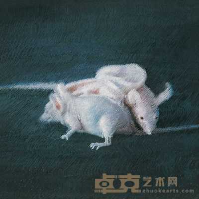 王光乐 2001年作 克隆鼠 50×50cm